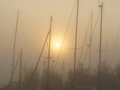 Sonnenaufgang im Nebel