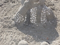 Der Sandpopler ist fertig